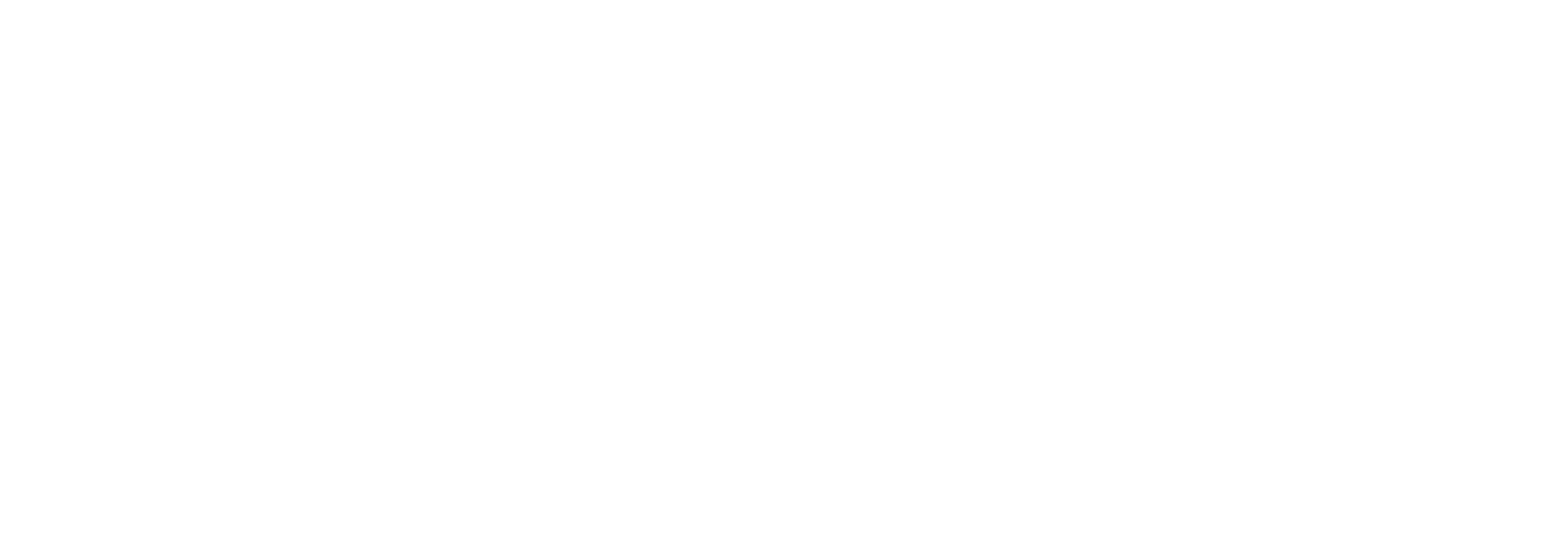 The Chicago Lighthouse Logo